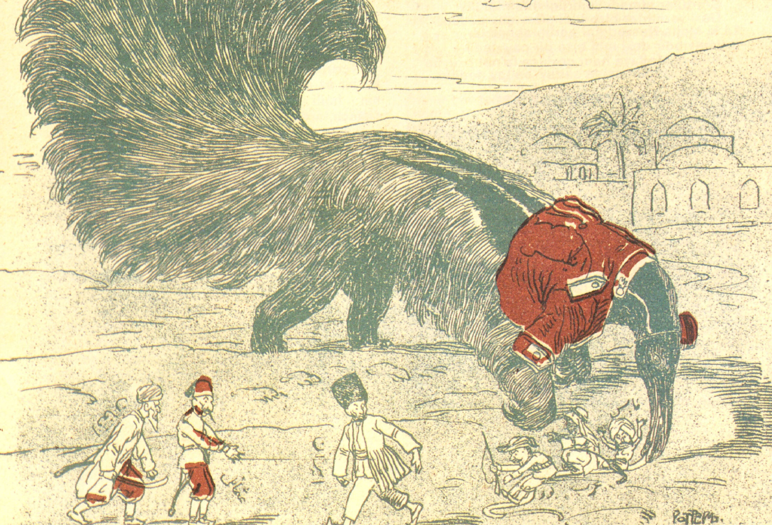 The Anteater