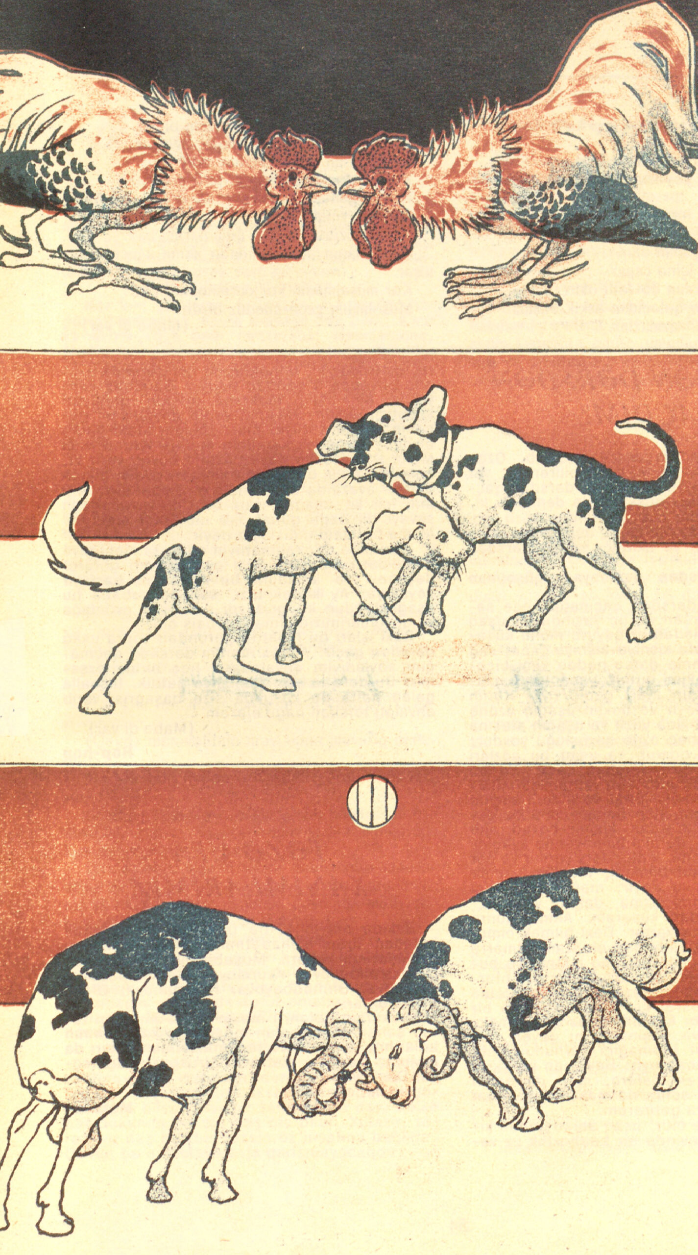 Male Competition in Animal Form