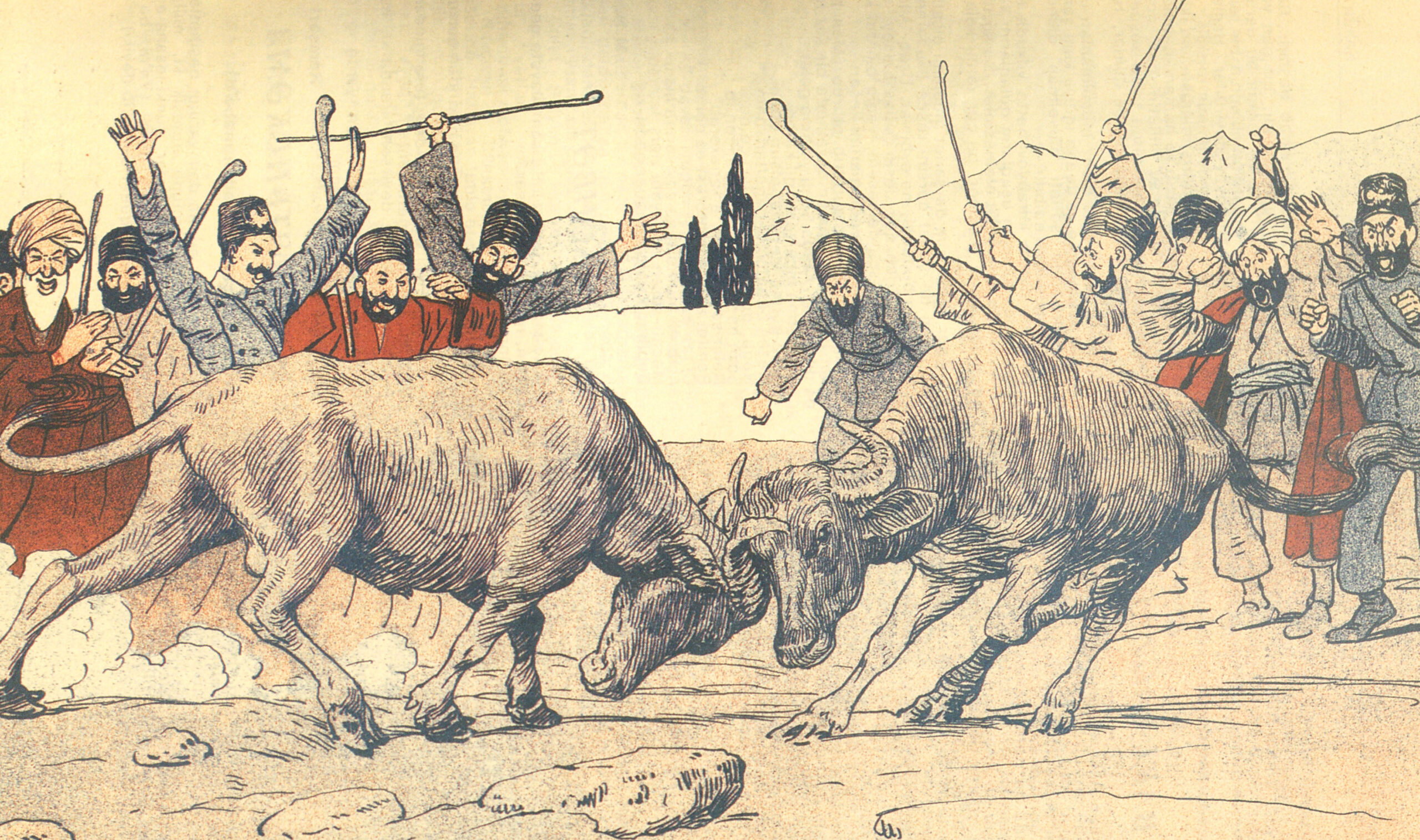 Bullfighting