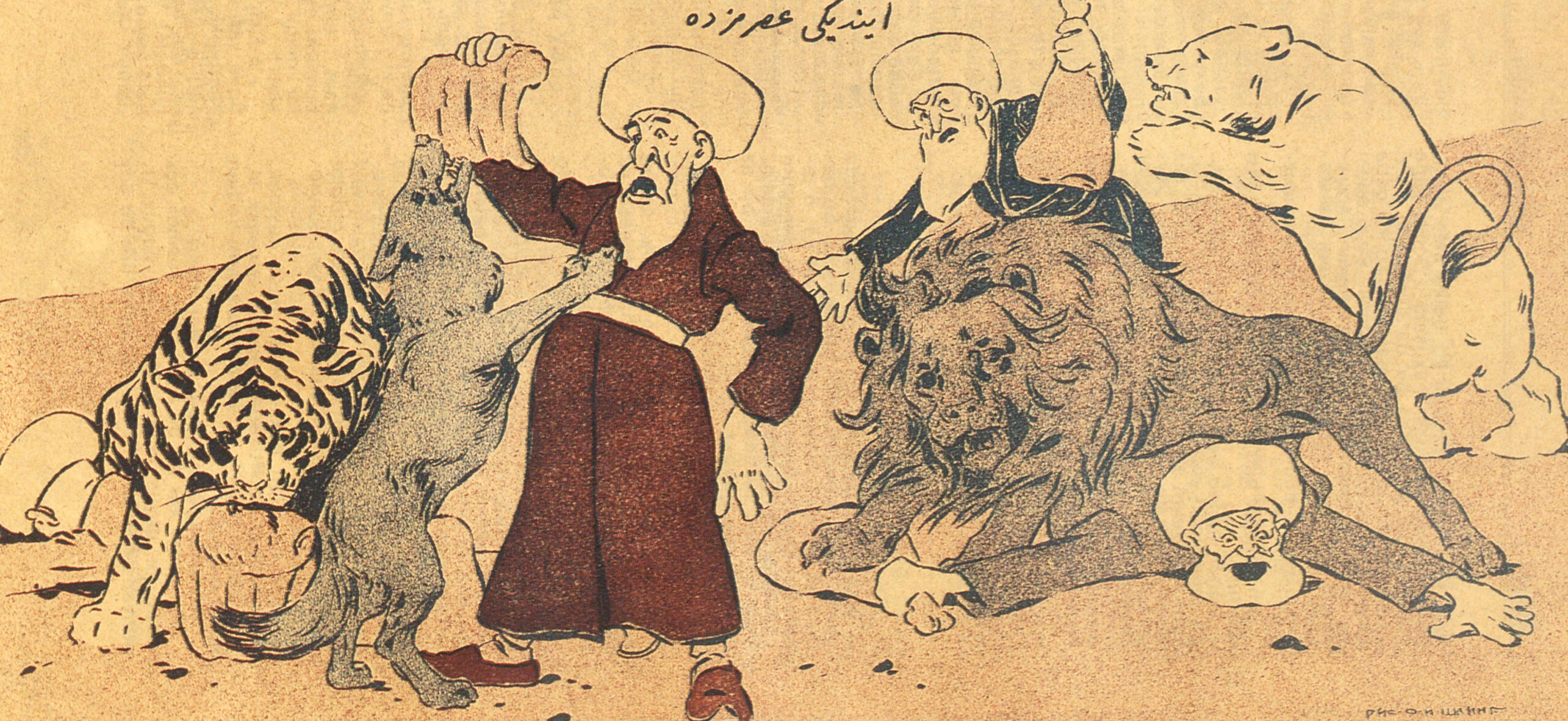 Wild Animals Attack Mollas