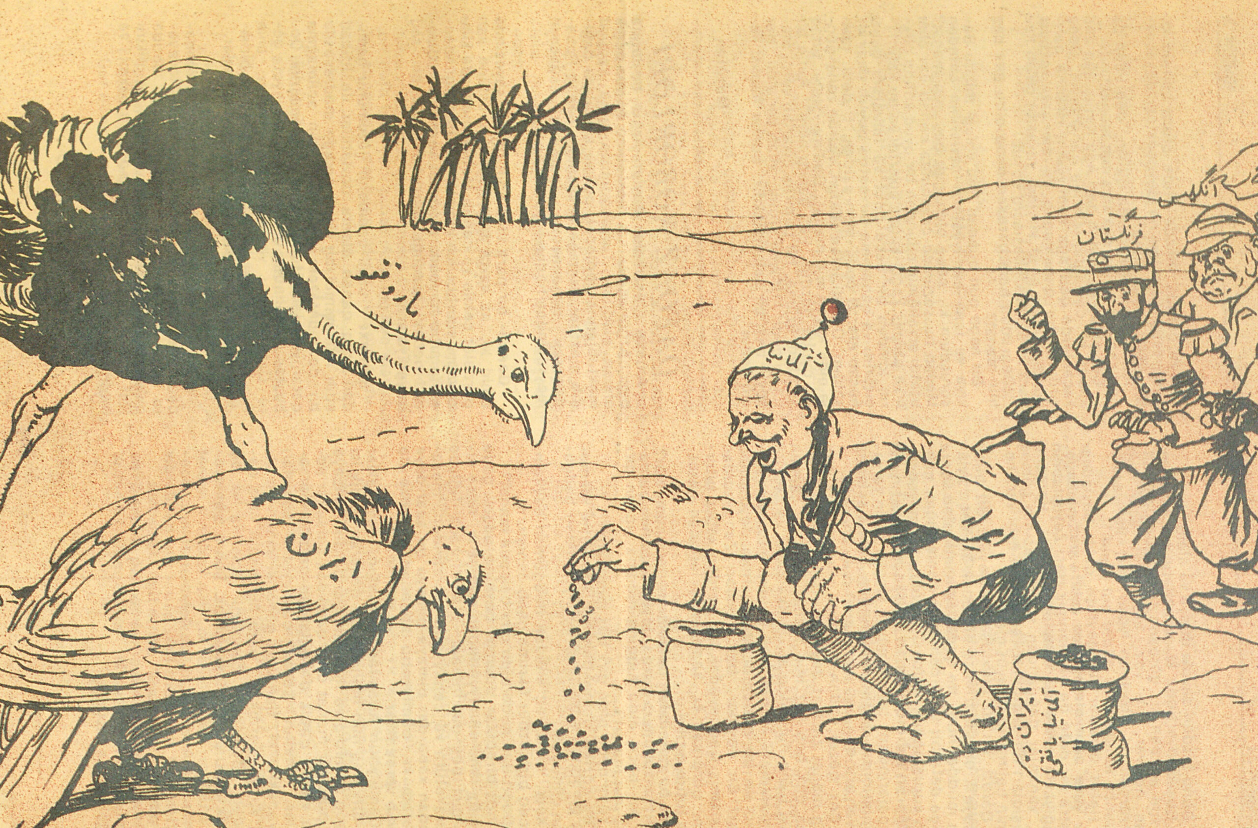 Feeding the Birds