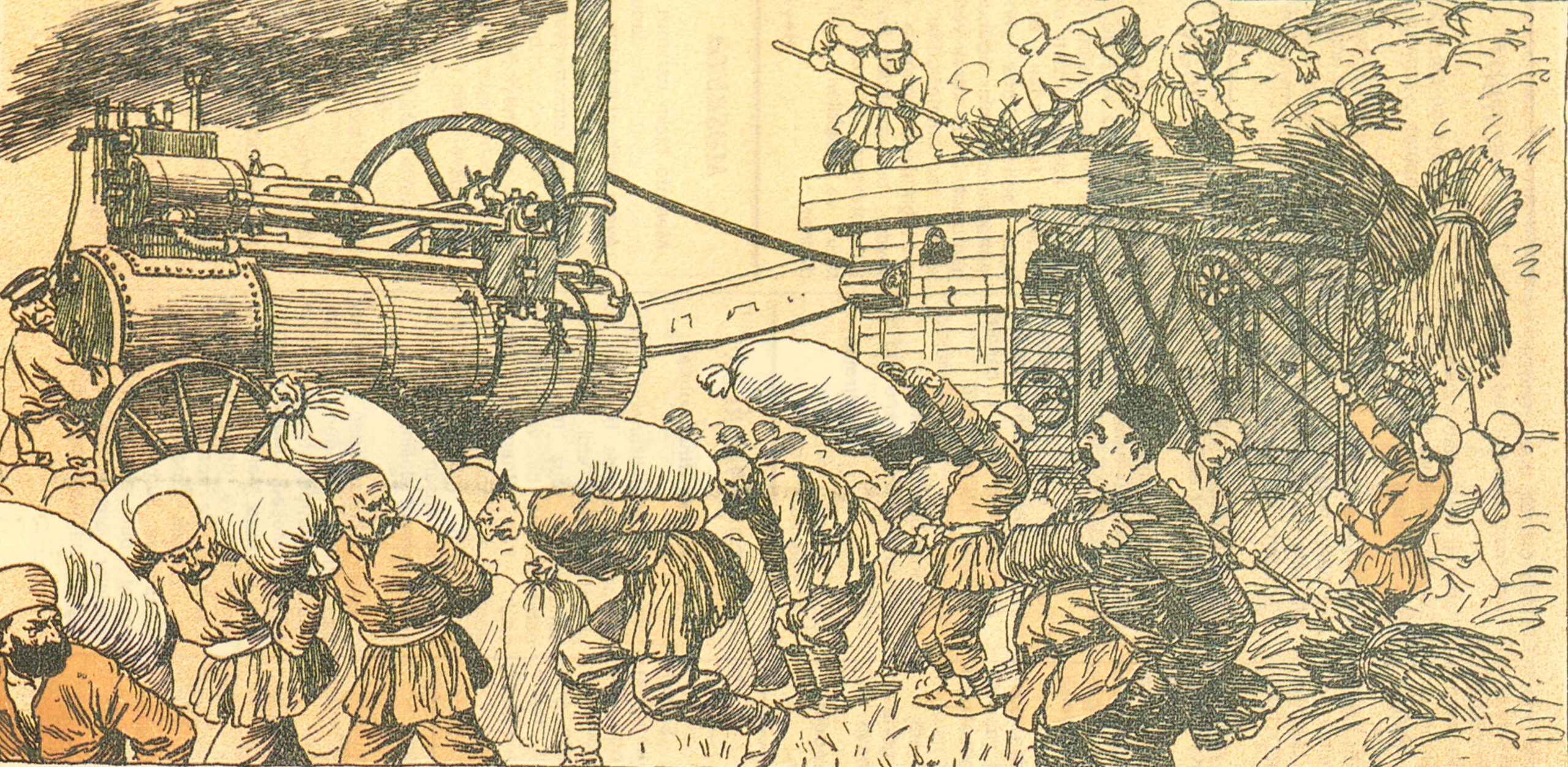 Mechanization – First Year