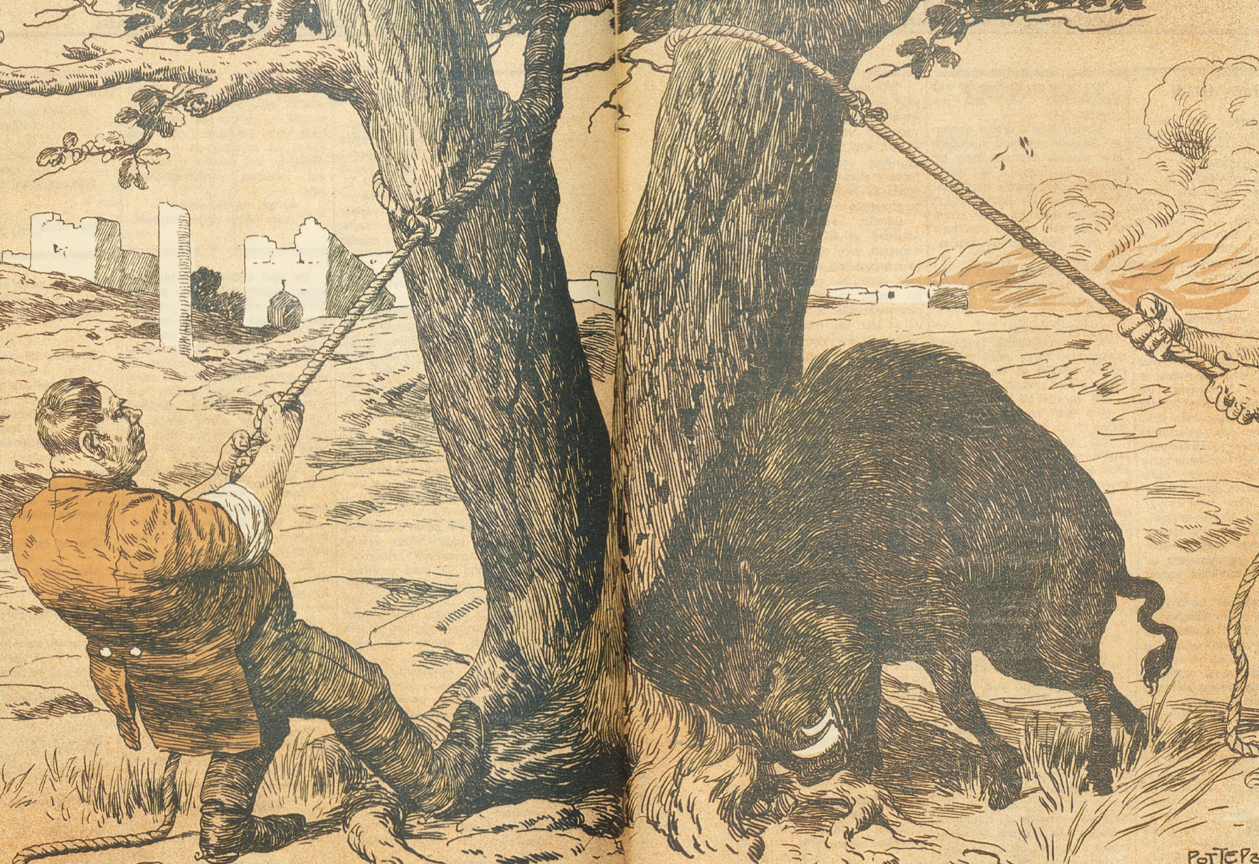 Pulling Down the Oak Trees