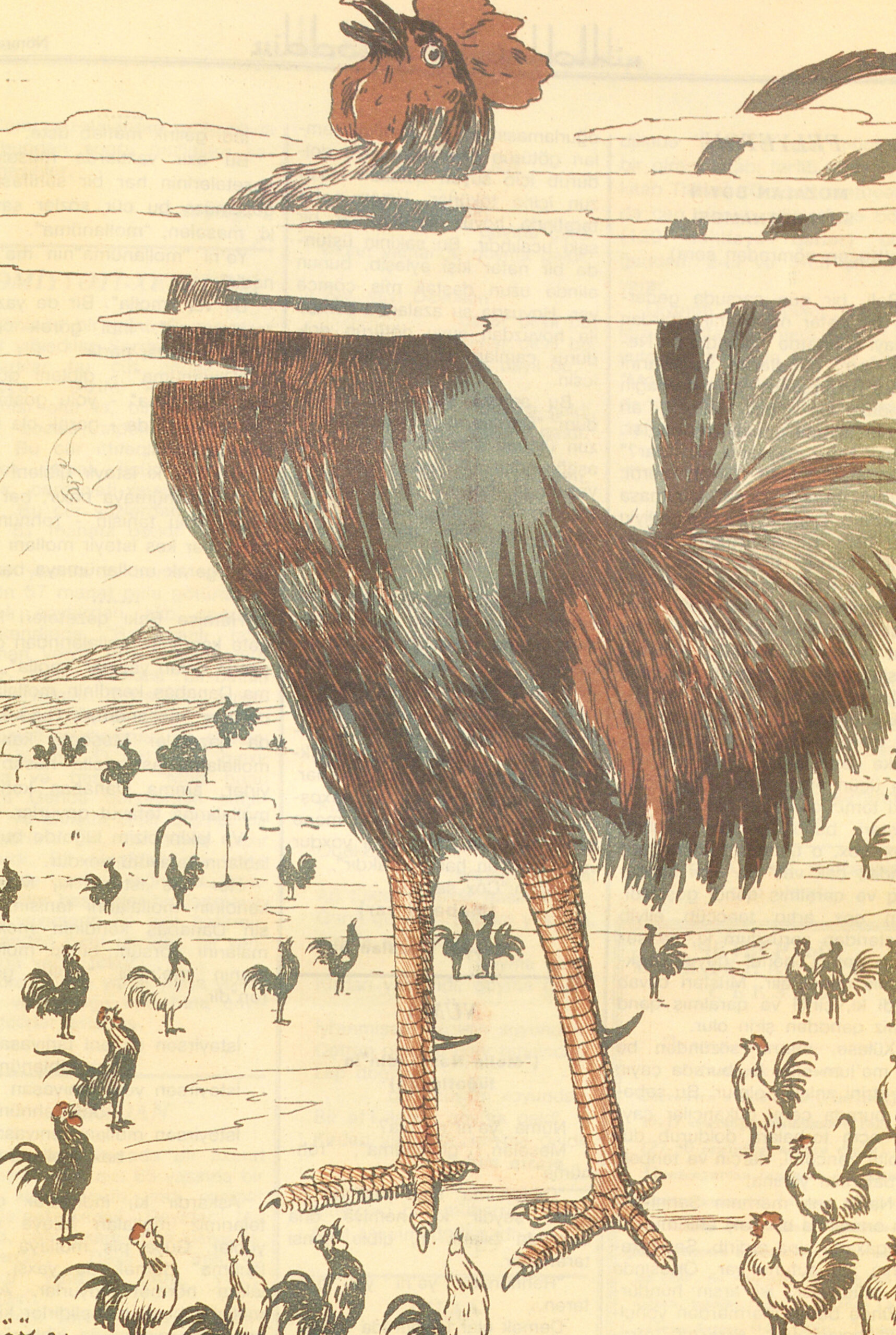 The Rooster