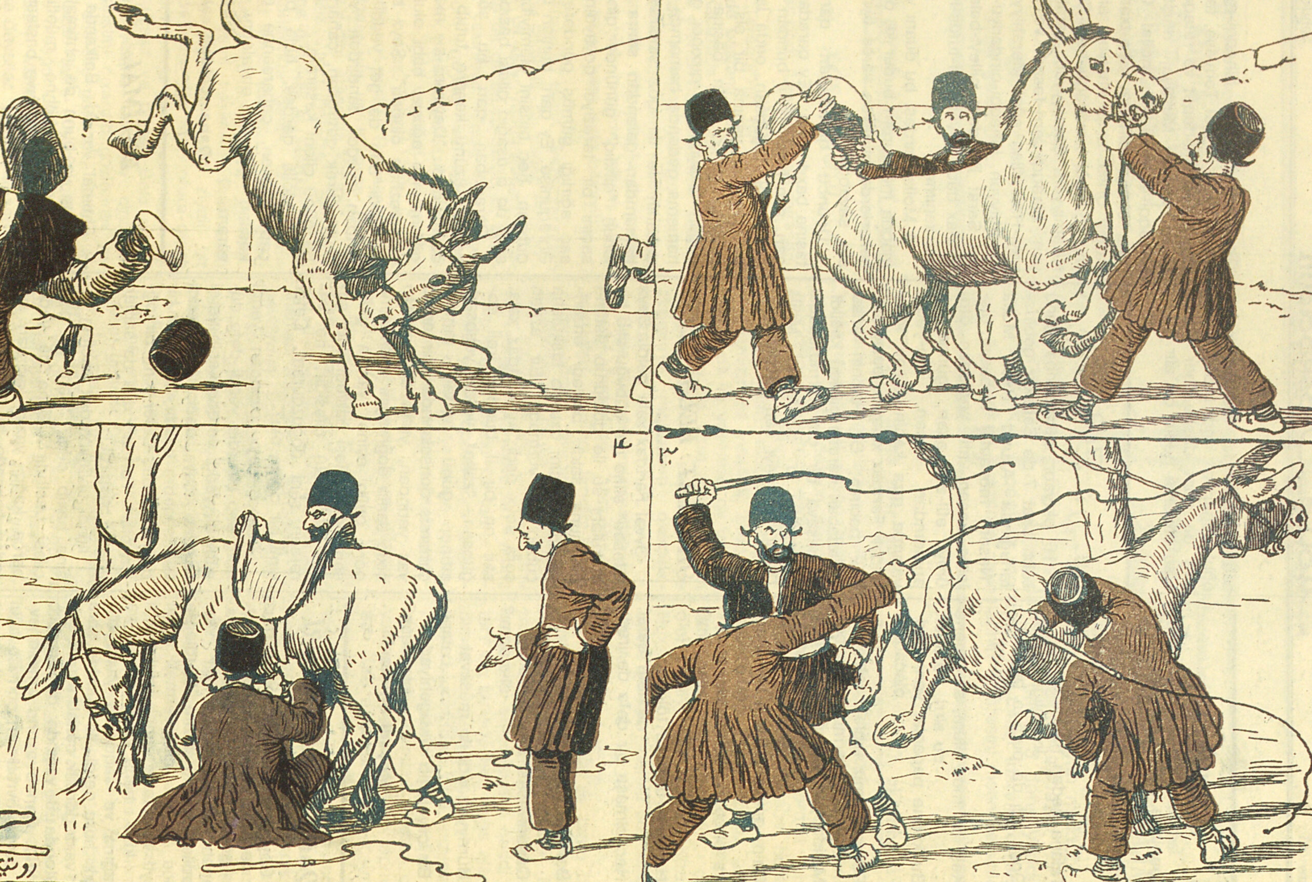 How to Saddle a Mule