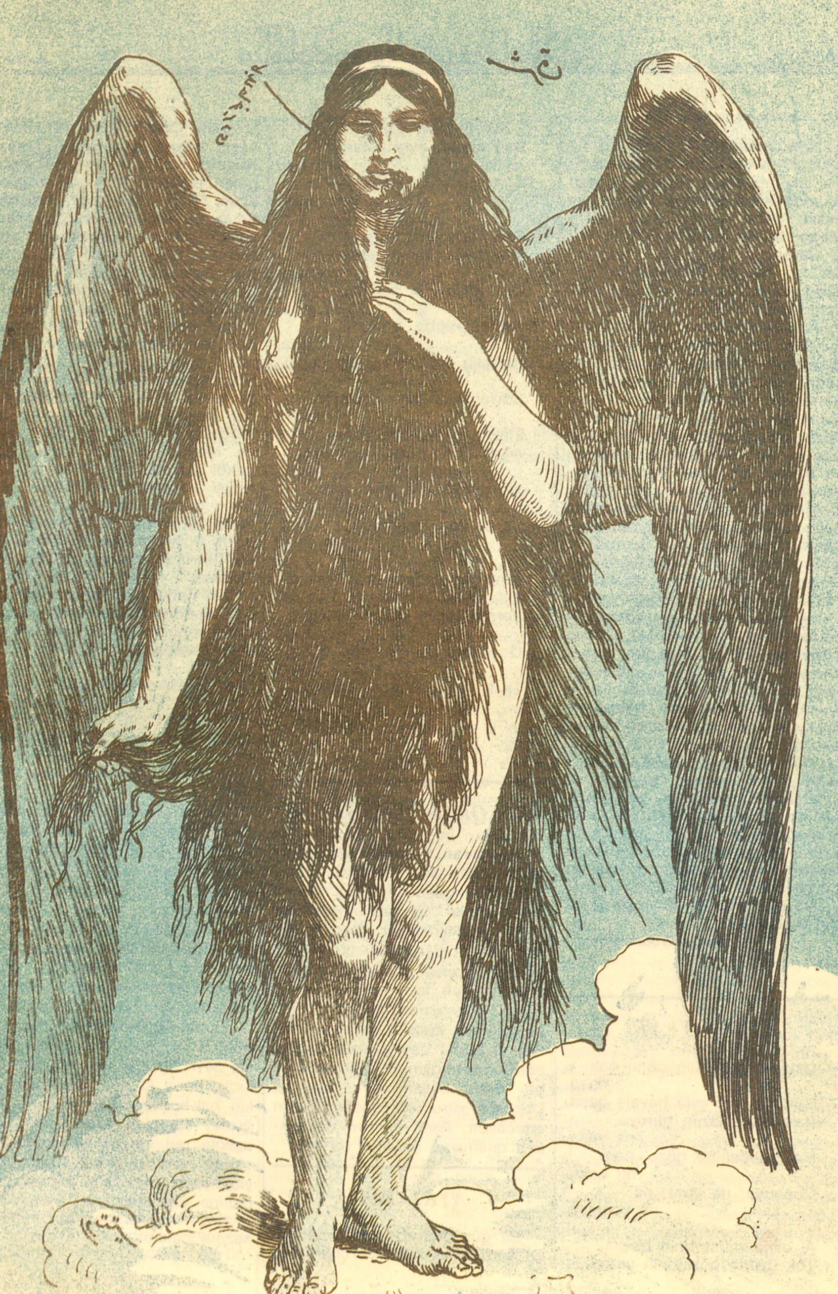 The Pardon