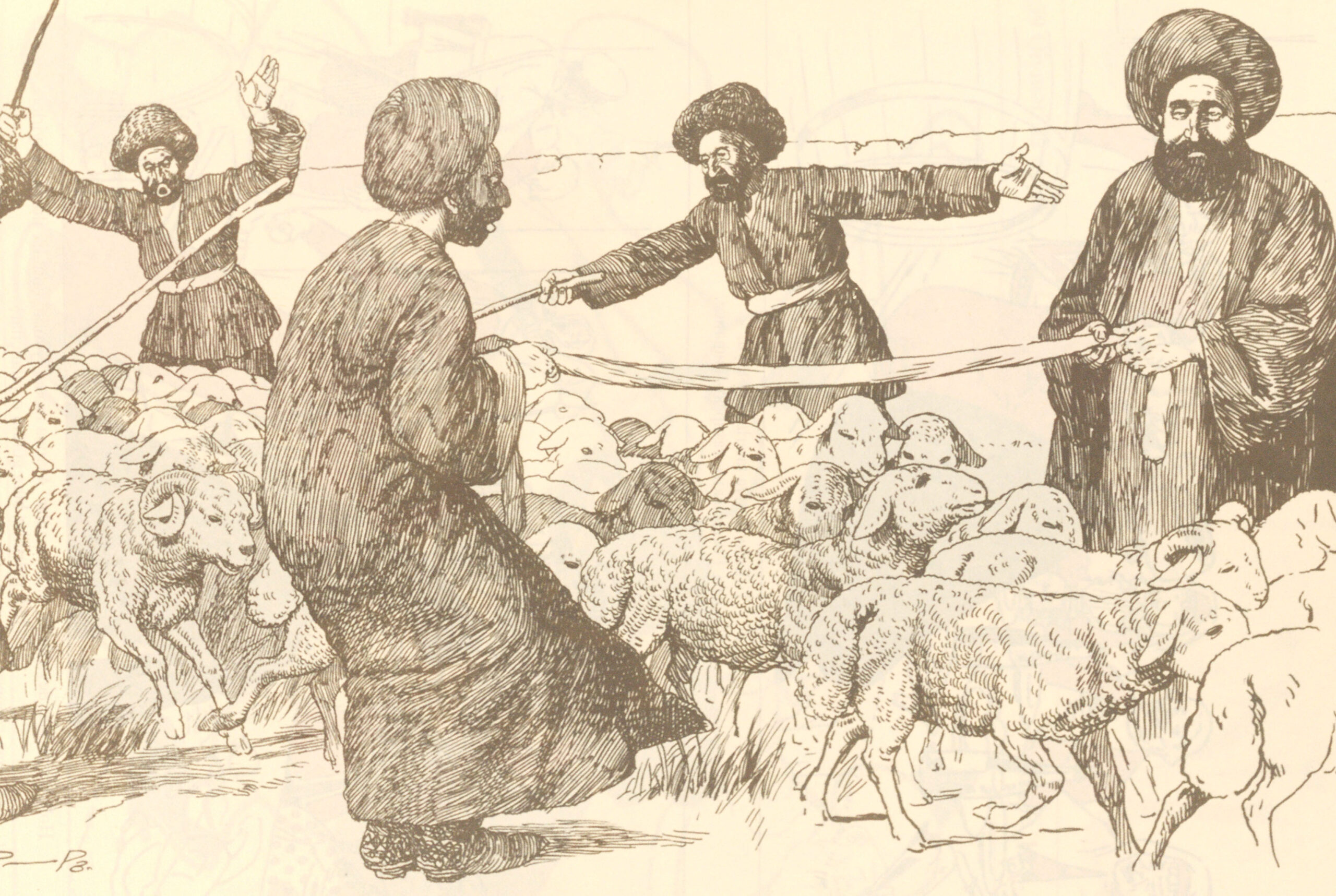 Sorting Sheep