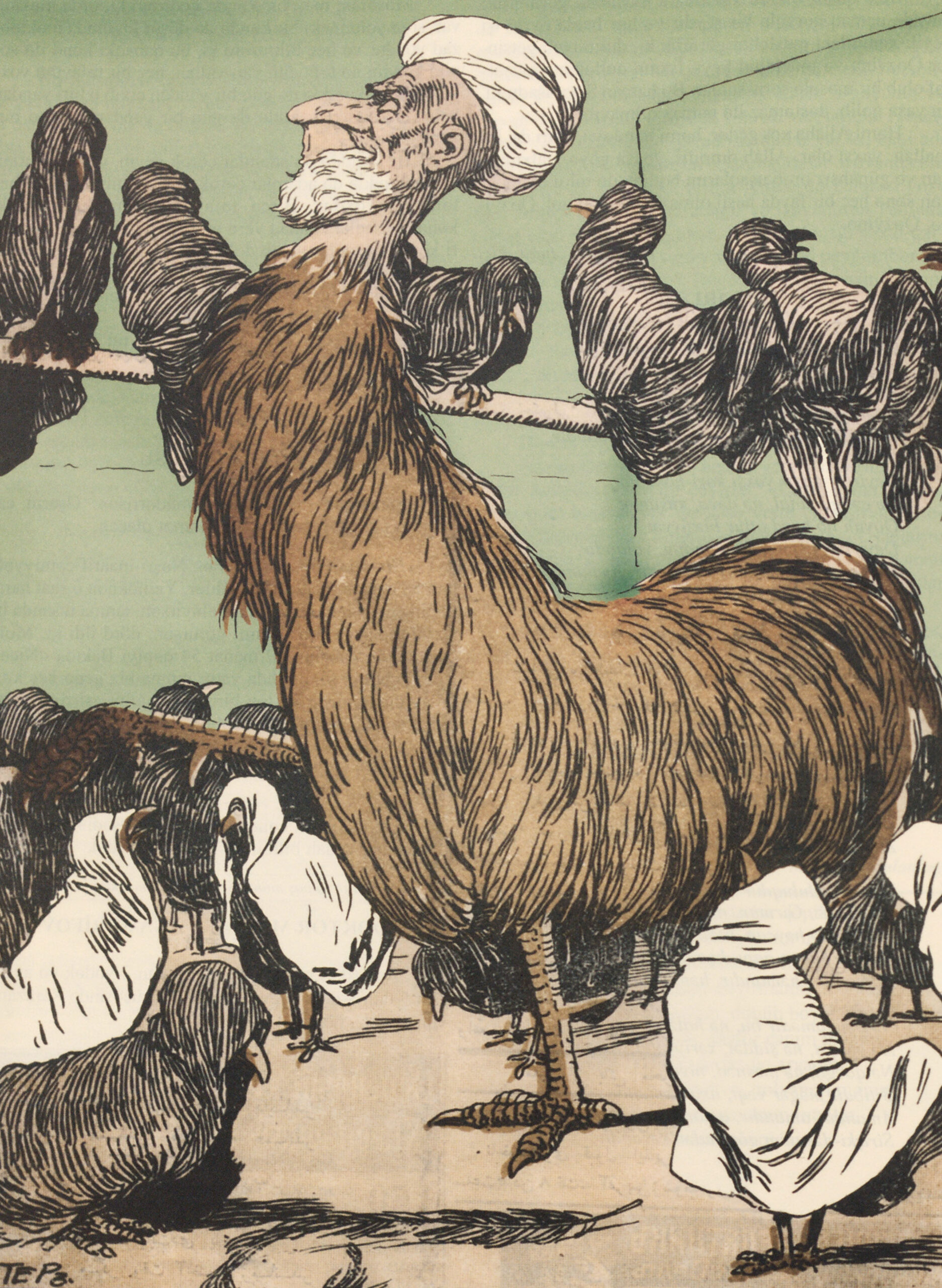 Proudly Crowing among the Robed Hens