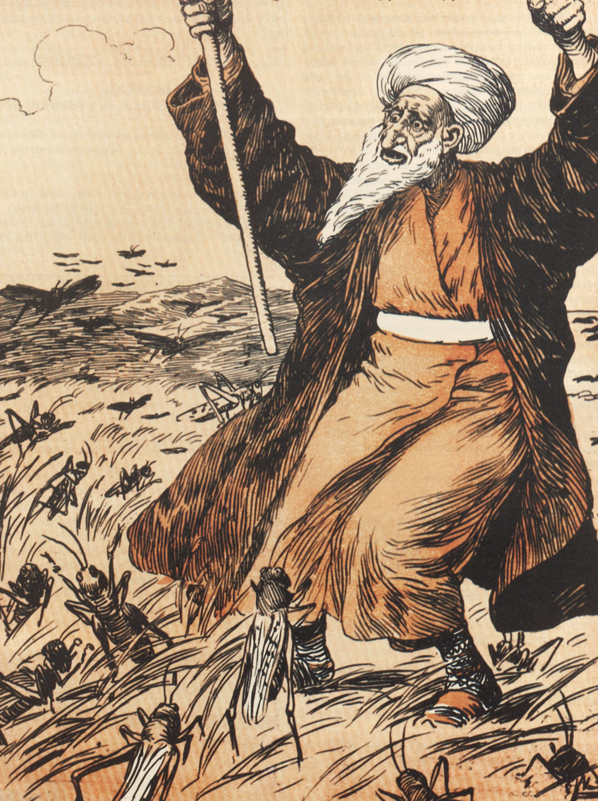 Sheik Isa and the Locusts