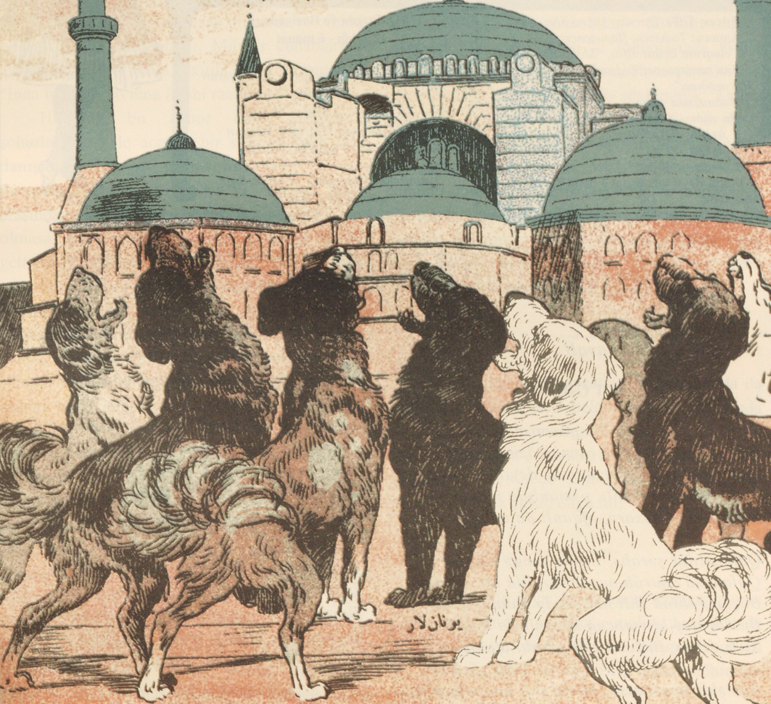 Turkish Dogs Barking